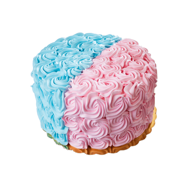 Blue and Pink Cake